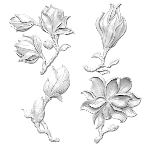 Серия молдов 