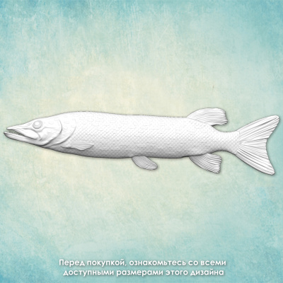 Молд "Щука" левый (XXL)